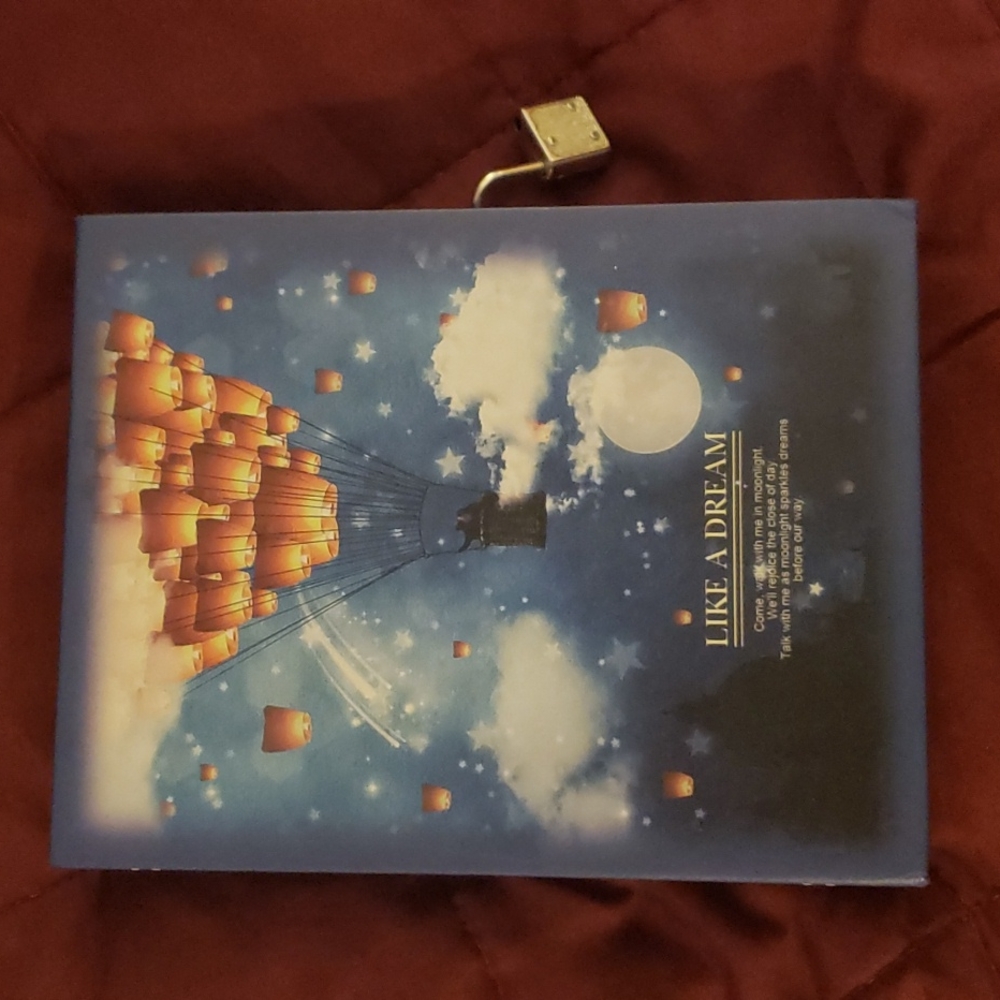 Adorable journal with lock box